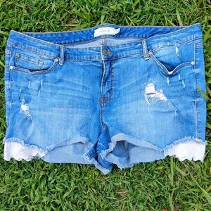 Torrid Distressed Denim Shorts 24